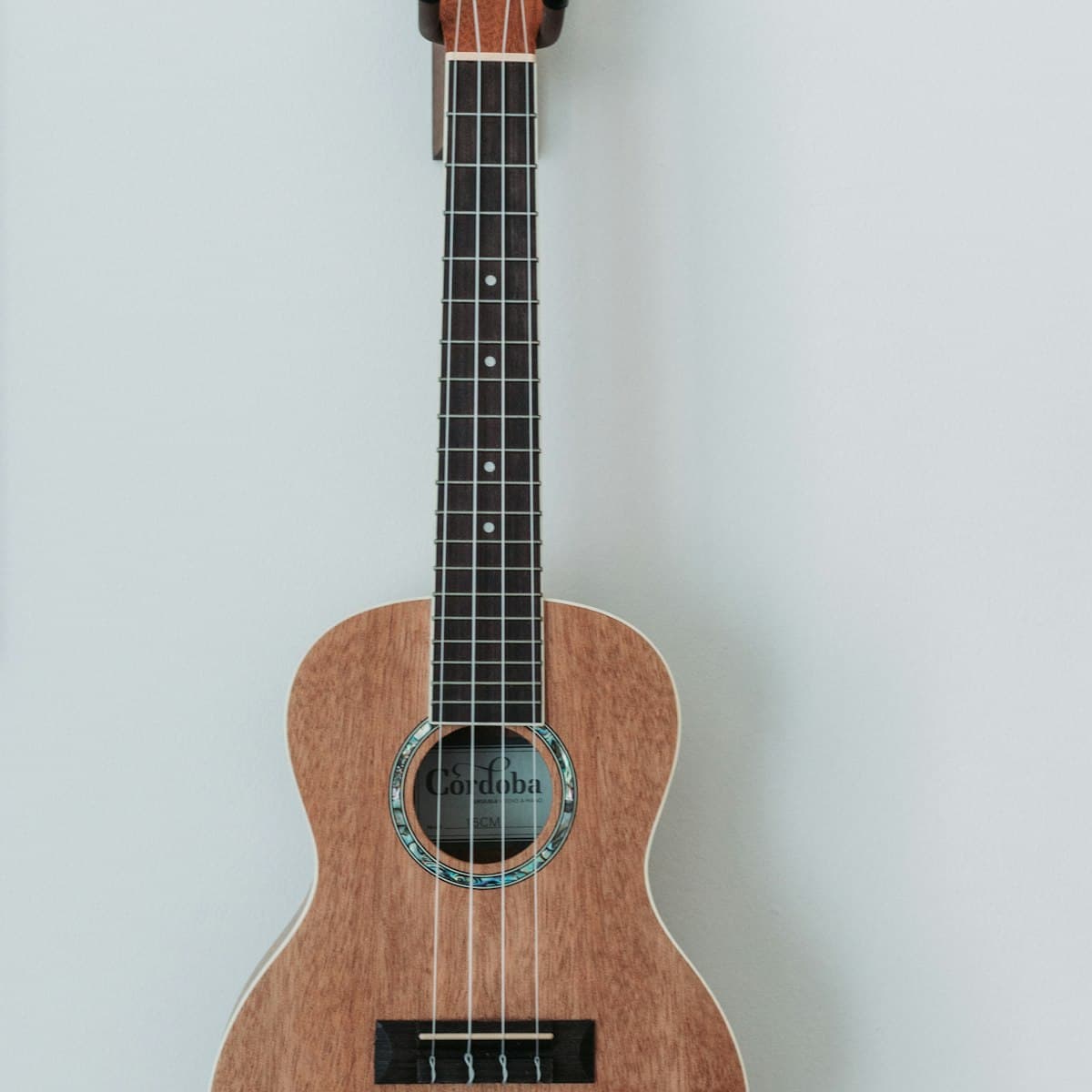 Ukulele