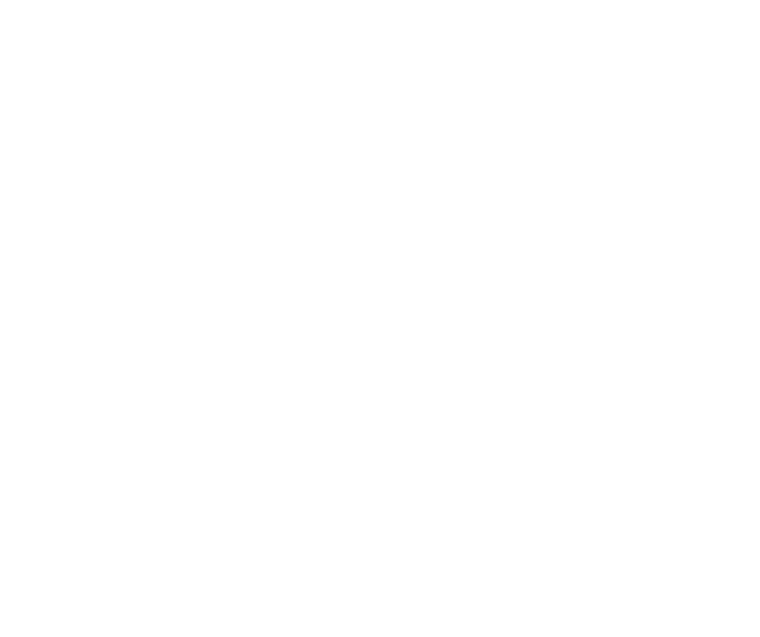 Bass Attack Sound System